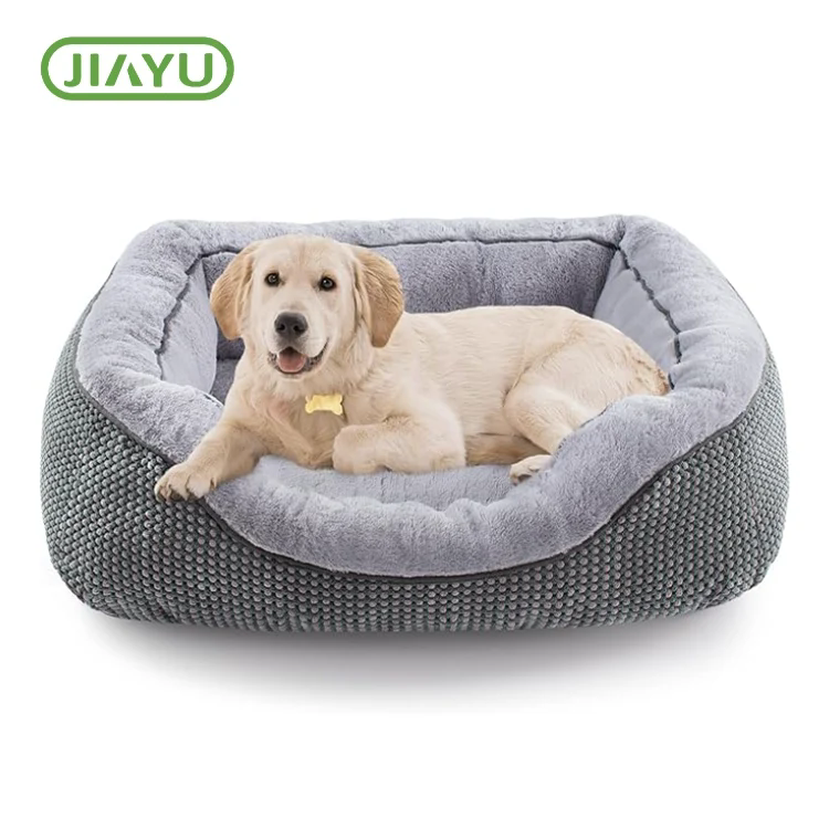 Cumu hè un Campeghju Pet Bed Diventendu un Elementu Standard per Viaghjà Outdoor?